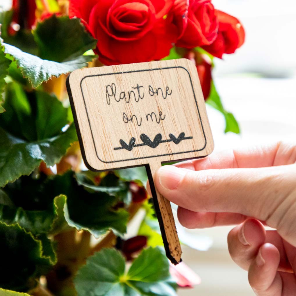 Plant Markers Pack of 10
