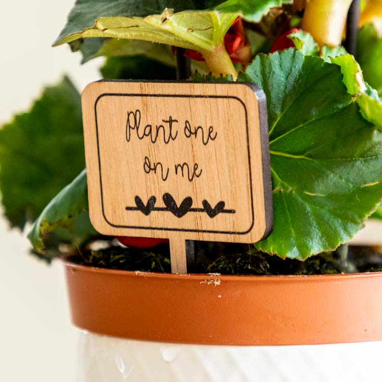 Plant Markers Pack of 10