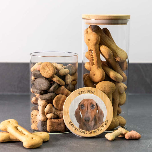 Personalised Pet Treat Jar With Photo