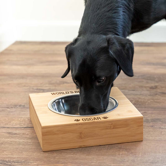 Personalised Worlds Best Dog Large Pet Bowl